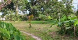 21 Acres Resort in Timehri