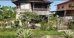 Wooden and Concrete House