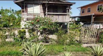 Wooden and Concrete House